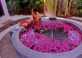 thajsko-hotel-twin-lotus-resort-011_ext_w_2.jpg